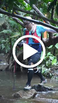 BIB:  <button type="button" onclick="openModal(27809128)" class="btn btn-primary btn-sm float-right" data-toggle="modal" data-target=".modal-high-quality">
                <i class="fa fa-download"></i> Download
                </button>